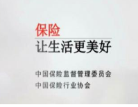 保險(xiǎn)翻譯